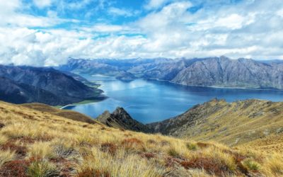 【紐西蘭NZ】2022入境紐西蘭需準備的資料＆檢測 – Traveller Declaration（2022年10月20日起正式取消）
